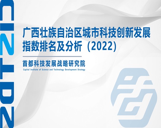 把筷子插进去女生的穴里黄网战【成果发布】广西壮族自治区城市科技创新发展指数排名及分析（2022）